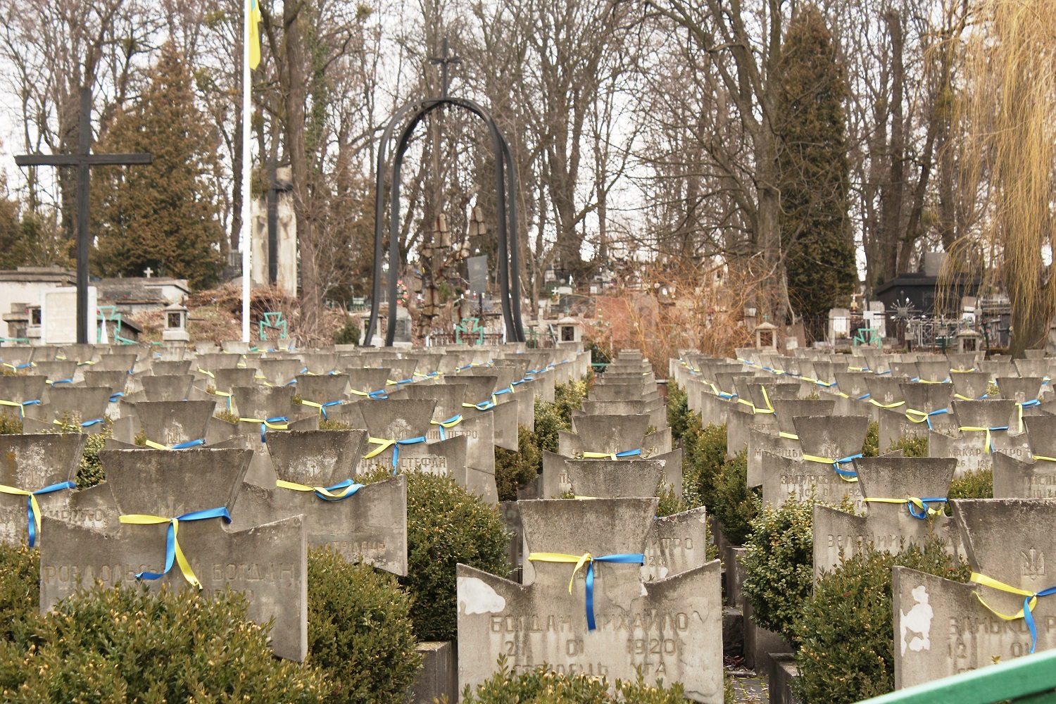 Cmentarz Janowski. Odnowione pole z mogiłami żołnierzy UAH